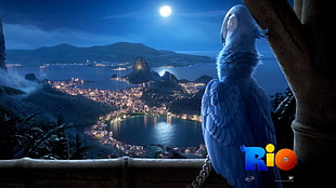 Rio digital wallpaper, movies, Rio (movie), animated movies