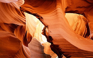 brown and white wooden table decor, canyon, desert, rock formation, sunlight HD wallpaper