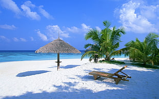 brown wooden sun lounger on seashore near body of water under blue sky HD wallpaper