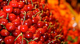red cherry HD wallpaper