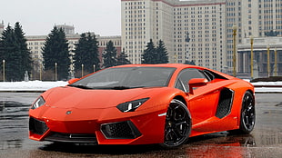 orange Lamborghini Gallardo, Lamborghini Aventador, orange cars, Lamborghini, car