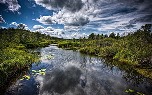 river between green leaved trees under blue cloudy sky during daytime HD wallpaper
