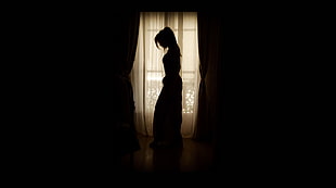 silhouette of dressed woman standing near window HD wallpaper