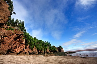 rock formations and pine trees under blue sky HD wallpaper