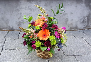 assorted flowers on brown wicker pot HD wallpaper