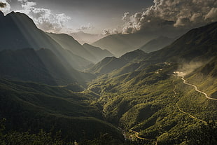 green mouse, nature, landscape, forest, mountains