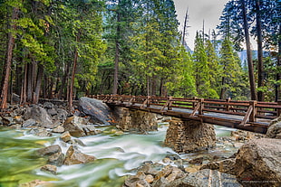 brown and gray metal framed footbridge over body of water painting