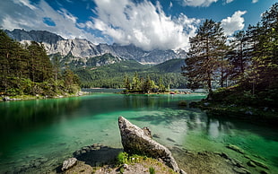 green trees, nature, landscape, lake, forest