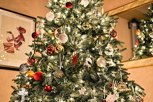 low angle photo of Christmas tree with string lights