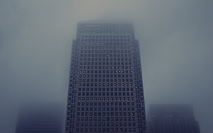 gray high rise building, skyscraper HD wallpaper