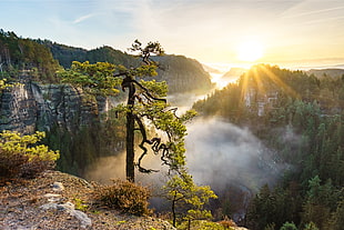 silhouette photo of mountains during sunrise, saxony, switzerland HD wallpaper