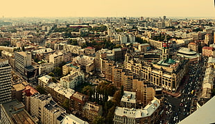 aerial view of buildings HD wallpaper
