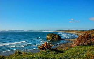 body of water near shore, nature, landscape, beach, grass