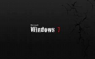 Microsoft Windows 7