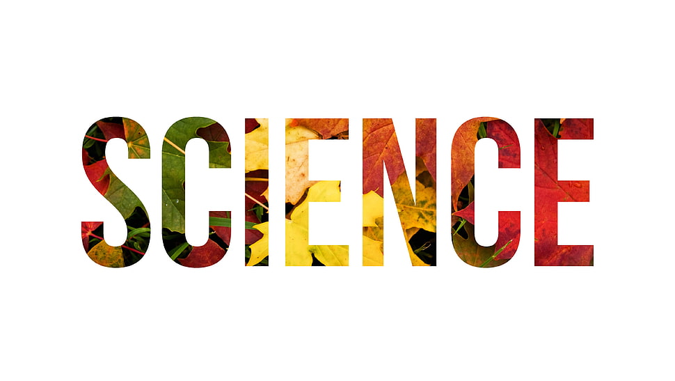 multicolored Science text HD wallpaper