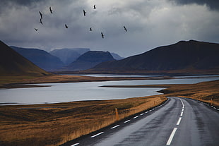 gray concrete road