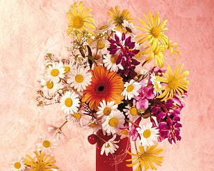 white and red petaled flowers