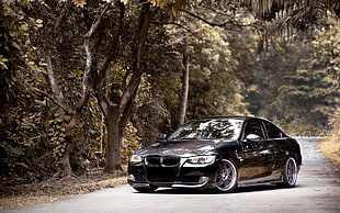 black sedan, car, BMW, road, trees HD wallpaper