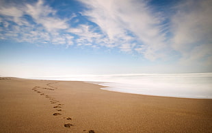 brown sand, beach, sky, footprints, clouds HD wallpaper