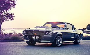 car, old car, gt 500