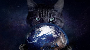 black cat, space, cat, Earth HD wallpaper