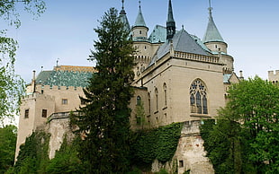 white-and-blue castle building, architecture, castle, nature, landscape