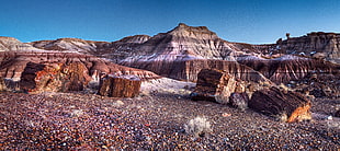 brown and black cut logs on a multicolored marble field during daytime, petrified forest national park HD wallpaper