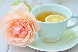 pink Rose flower beside white ceramic cup with tea on saucer HD wallpaper