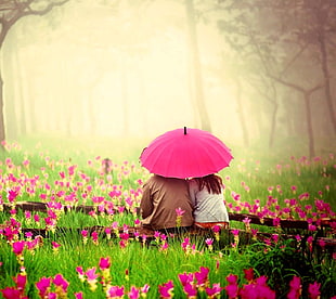 pink umbrella, nature, love HD wallpaper