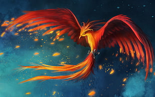 red and orange falcon digital wallpaper, digital art, fantasy art, birds, wings HD wallpaper