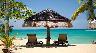 two brown sunbathing loungers, island, beach, umbrella, palm trees HD wallpaper