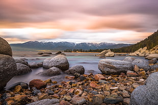 photo of seashore during daytime, lake tahoe