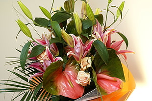 green and orange anthurium flowers