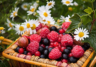berries on basket HD wallpaper