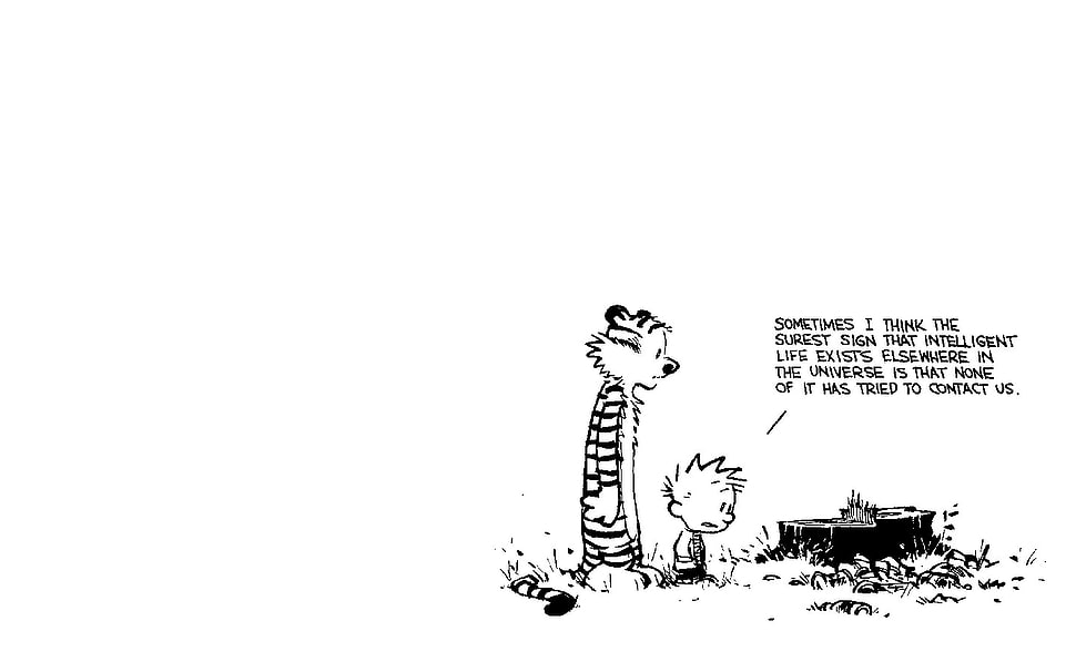 illustration, Calvin and Hobbes, simple background HD wallpaper