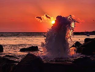 sea wave during golden hour