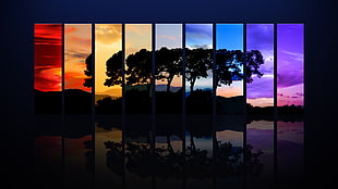 multicolored silhouette of tree wall art, abstract HD wallpaper