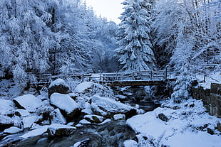 snow covered bridge and rocks with river HD wallpaper