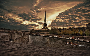 eiffel tower near body of water and trees
