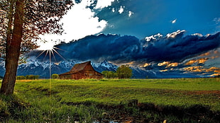 brown house under blue and white sky painting