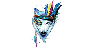 wolf wearing feather headband Wallpaper, drawing, feathers, colorful, simple background HD wallpaper