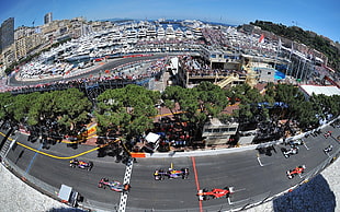 fish-eye top view photography of racing cars on black asphalt road