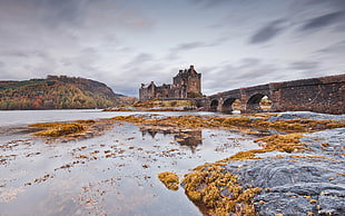 bridge connected to a castle surrounded by body of the water