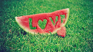watermelon carving on grass HD wallpaper