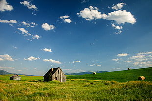 brown wooden barn house surrounded with grass field, idaho HD wallpaper