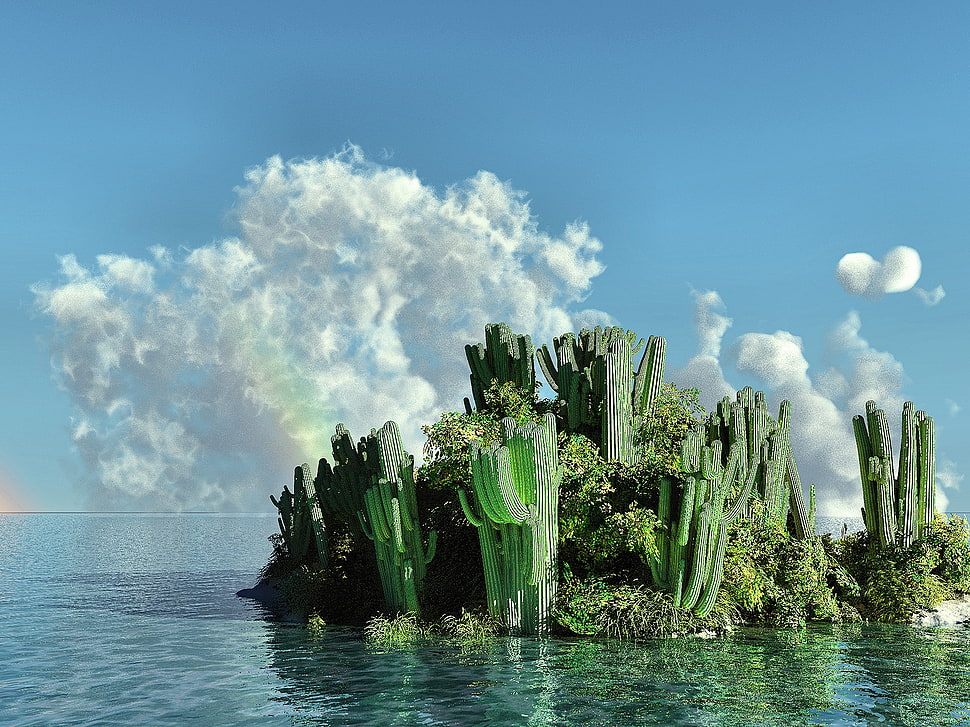 green cacti on water under blue sky HD wallpaper