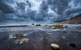 brown stones and ocean