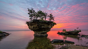 field of trees, nature, landscape, rock, clouds