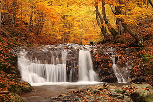 waterfalls surrounded by brown leafed trees HD wallpaper