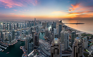 assorted high-rise buildings, city, cityscape, Dubai, United Arab Emirates HD wallpaper
